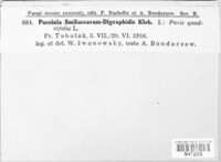 Image Associated With the Occurrence